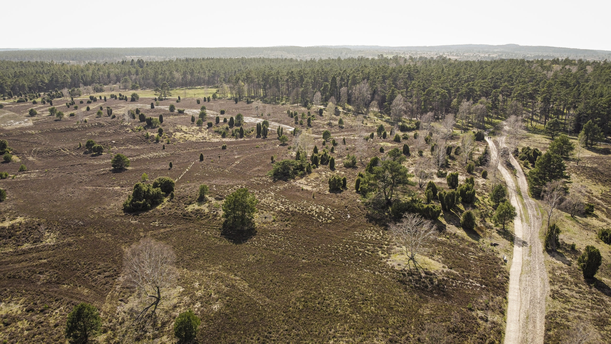 8 Tipps für Unternehmungen in der Lüneburger Heide